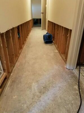 Water Damage Restoration in Saint Augustine, FL (5)