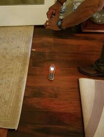 Water Damage Restoration in Saint Augustine, FL (3)